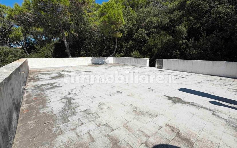 Villa unifamiliare via delle Ortensie 9, Chioma, Nibbiaia, Rosignano Marittimo — foto 15 di 33