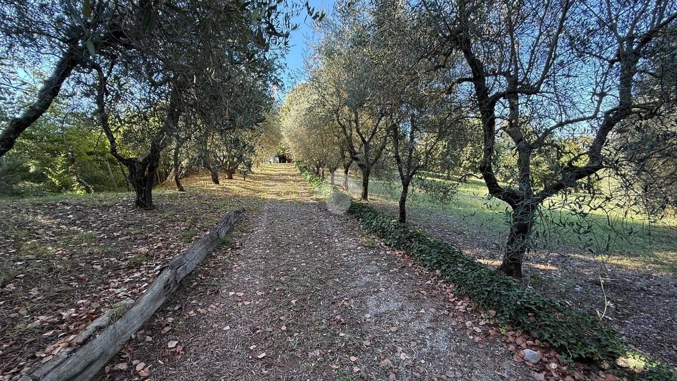Terratetto unifamiliare Località Villanova, Villanova, Orvieto