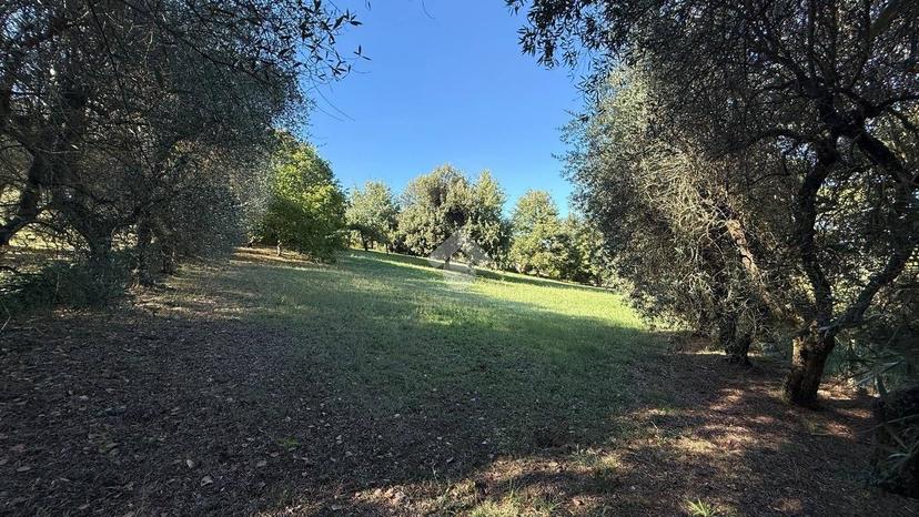 Terratetto unifamiliare Località Villanova, Villanova, Orvieto — foto 3 di 34