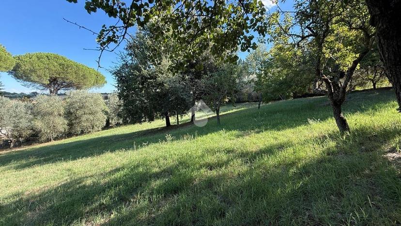 Terratetto unifamiliare Località Villanova, Villanova, Orvieto — foto 10 di 34