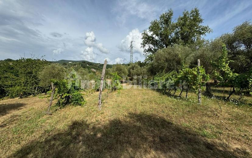 Casale via Vaggia, Centro, Santo Stefano di Magra — foto 12 di 23