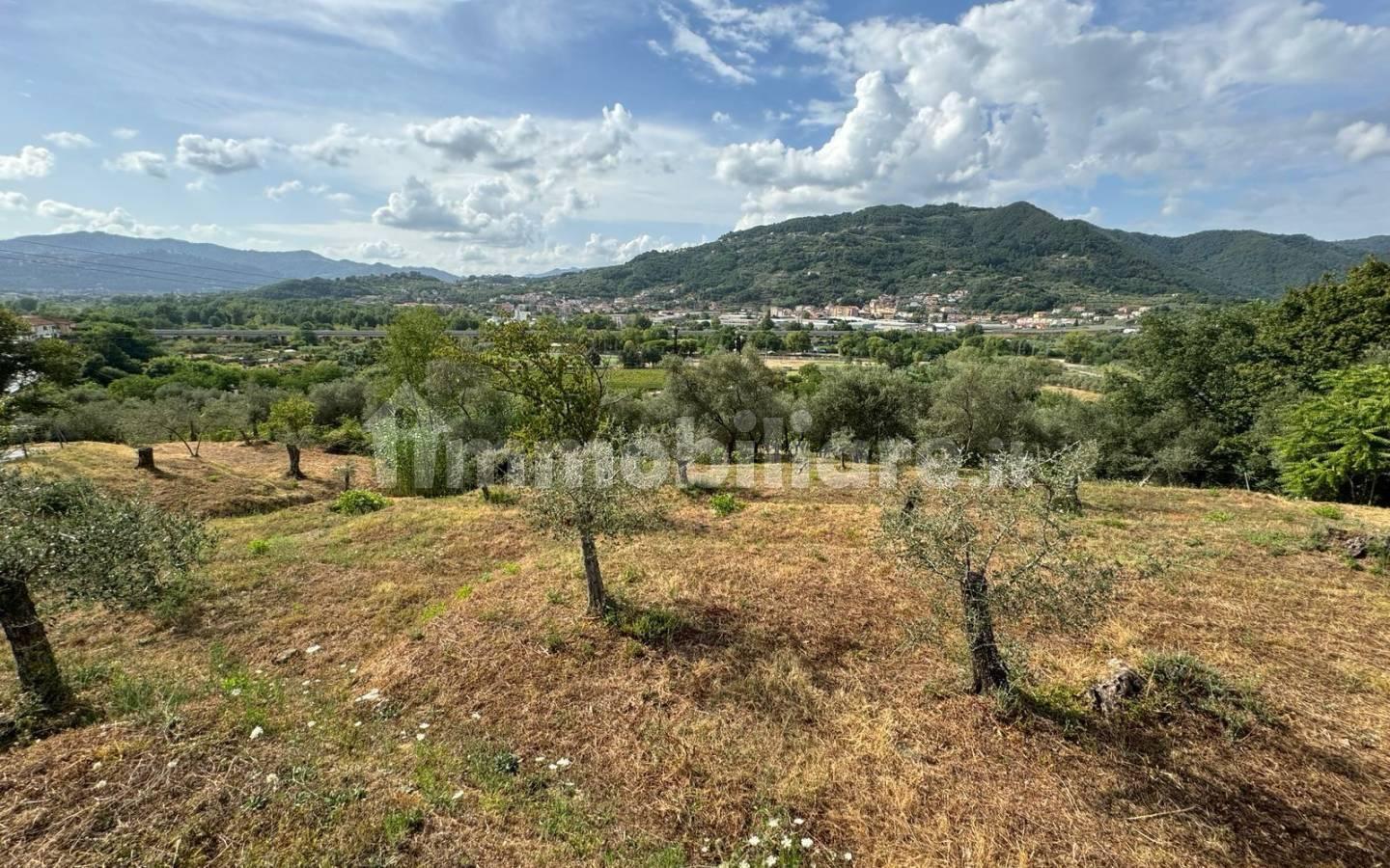 Casale via Vaggia, Centro, Santo Stefano di Magra