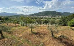 Casale via Vaggia, Centro, Santo Stefano di Magra