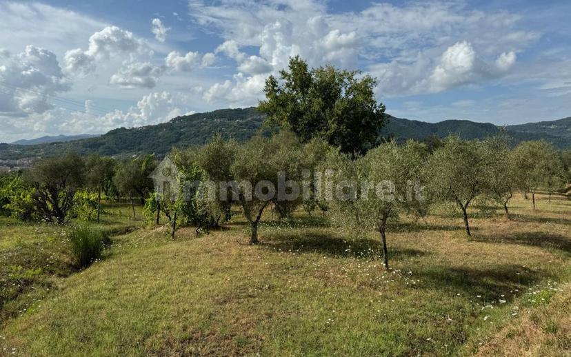 Casale via Vaggia, Centro, Santo Stefano di Magra — foto 23 di 23