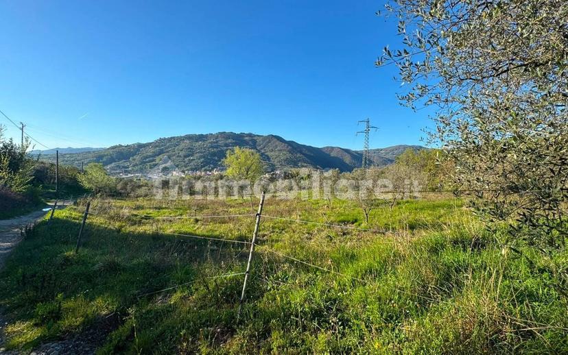 Casale via Vaggia, Centro, Santo Stefano di Magra — foto 10 di 23