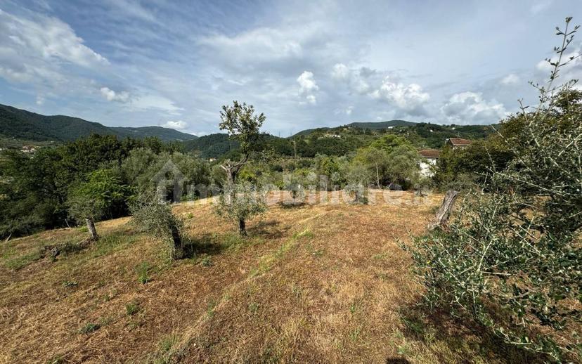 Casale via Vaggia, Centro, Santo Stefano di Magra — foto 15 di 23