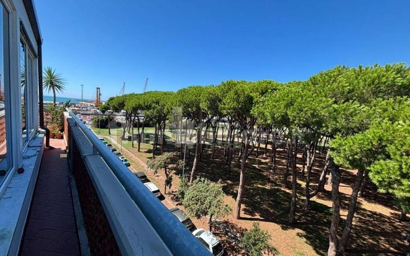 Attico via Benedetto Cairoli, Marina di Carrara, Carrara — foto 13 di 57