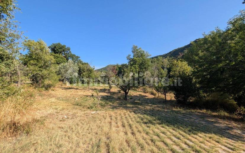 Villa unifamiliare Strada Provinciale Colledimezzo-Borrello, Borrello — foto 3 di 20