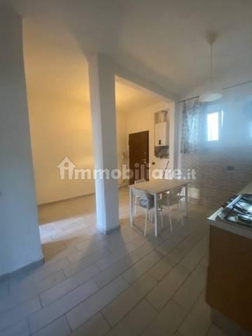 Trilocale vicolo Verdi, Centro, Cassino — foto 14 di 14