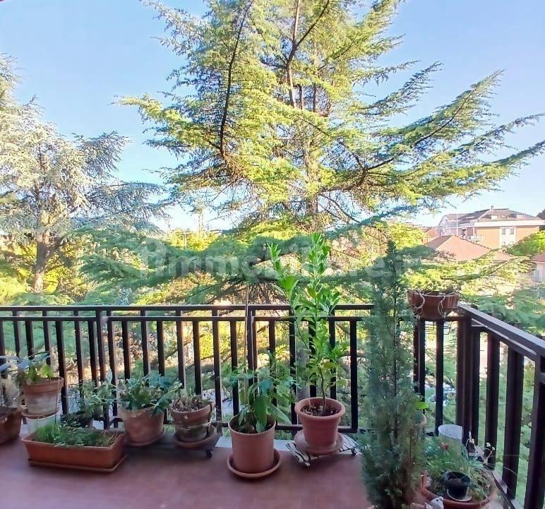 Appartamento via Conte Verde 130, Ospedale, Asti — foto 14 di 19