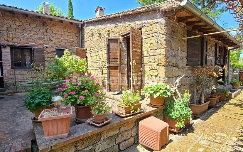 Casale Località San Giorgio 4, Proceno — foto 13 di 59