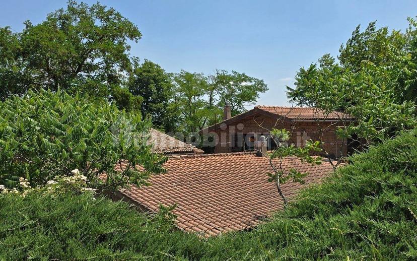 Casale Località San Giorgio 4, Proceno — foto 54 di 59