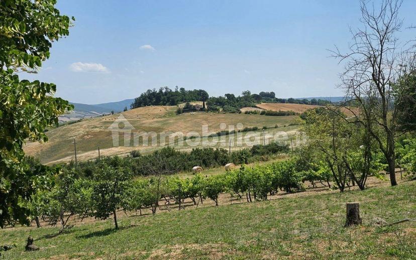 Casale Località San Giorgio 4, Proceno — foto 42 di 59