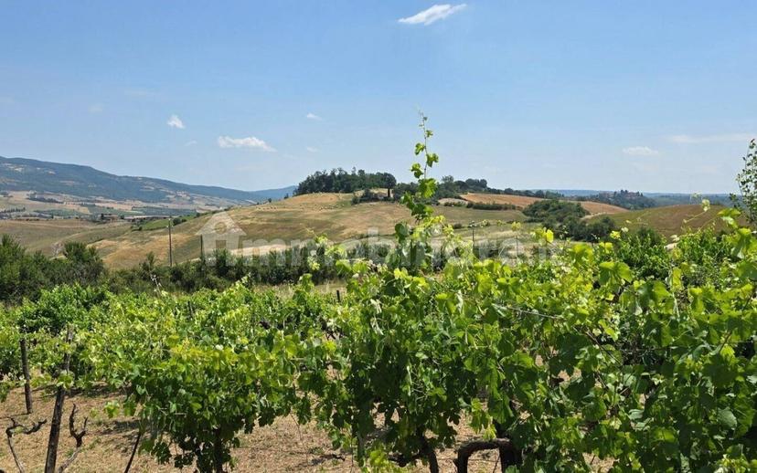 Casale Località San Giorgio 4, Proceno — foto 10 di 59