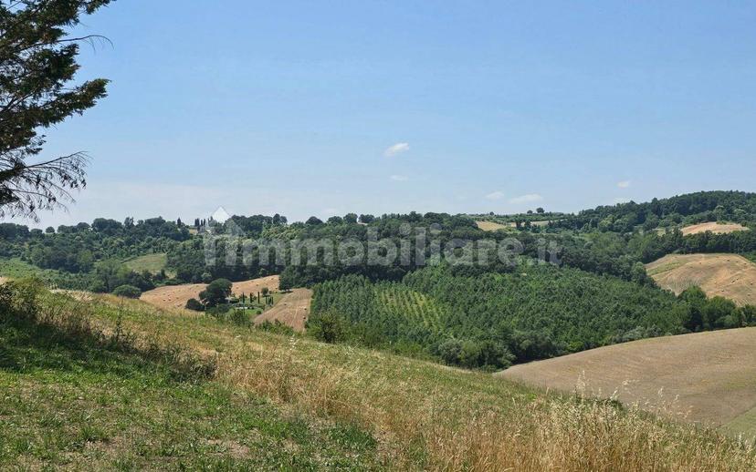 Casale Località San Giorgio 4, Proceno — foto 14 di 59