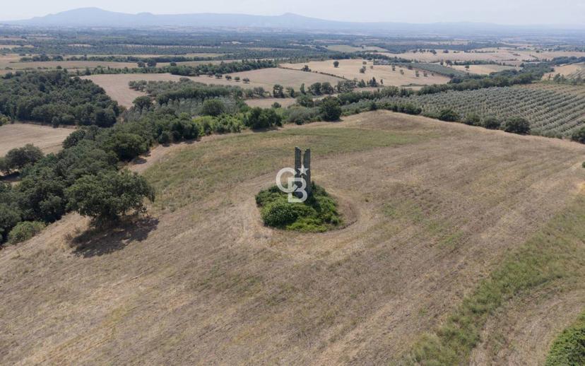 Rustico Strada Trinità 32, Monterazzano, Viterbo — foto 9 di 31