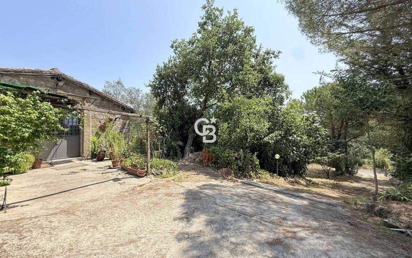 Rustico Strada Trinità 32, Monterazzano, Viterbo — foto 25 di 31