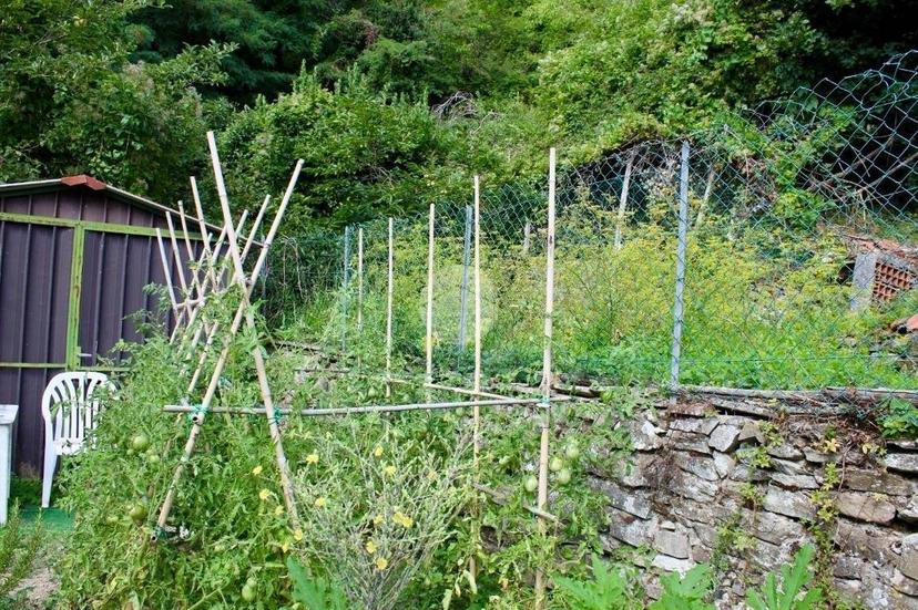 Terratetto plurifamiliare via della Collina 77, Cavarzano, Vernio — foto 6 di 39