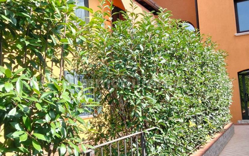 Trilocale via Giuseppe Garibaldi 97, Castenedolo — foto 2 di 5