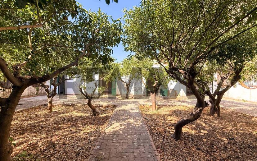 Villa unifamiliare, da ristrutturare, 222 m², San Lorenzo, Palermo — foto 17 di 38