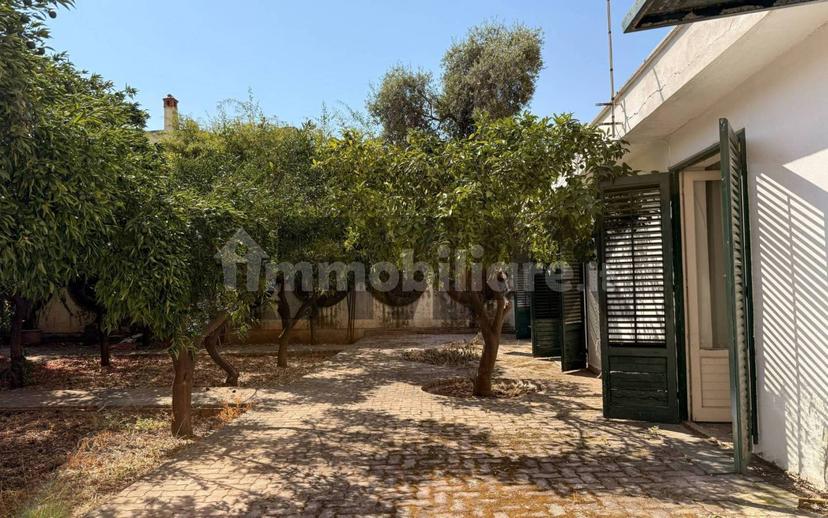 Villa unifamiliare, da ristrutturare, 222 m², San Lorenzo, Palermo — foto 14 di 38