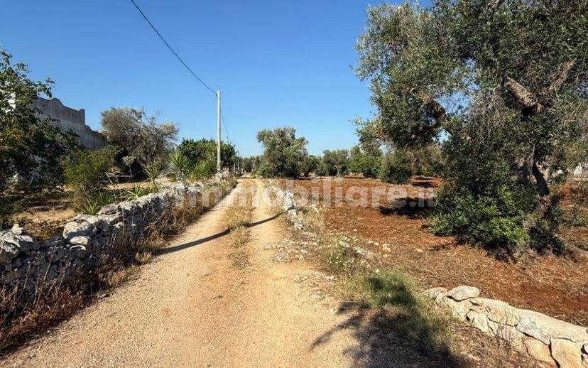 Villa unifamiliare Contrada Picoco Grotta, Santa Caterina, Ramunno, Chianchizzo, Ostuni — foto 84 di 93