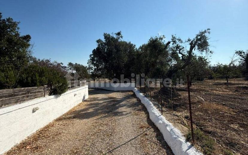 Villa unifamiliare Contrada Picoco Grotta, Santa Caterina, Ramunno, Chianchizzo, Ostuni — foto 6 di 93