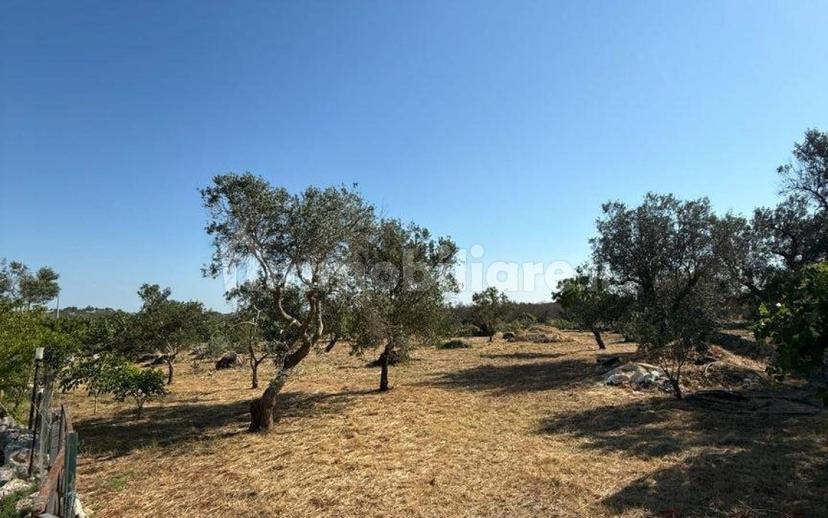 Villa unifamiliare Contrada Picoco Grotta, Santa Caterina, Ramunno, Chianchizzo, Ostuni — foto 66 di 93