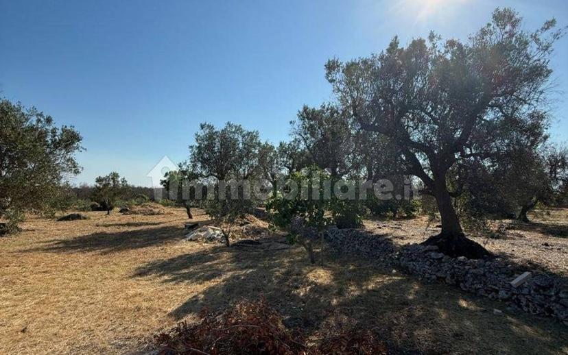 Villa unifamiliare Contrada Picoco Grotta, Santa Caterina, Ramunno, Chianchizzo, Ostuni — foto 10 di 93
