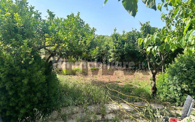 Villa unifamiliare vicolo Sicilia snc, Pachino — foto 10 di 24