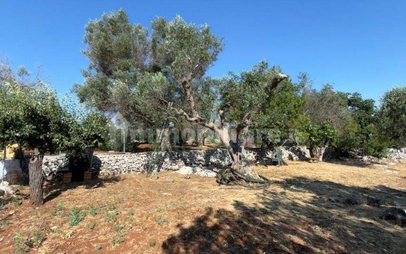Villa unifamiliare Contrada Picoco Grotta, Santa Caterina, Ramunno, Chianchizzo, Ostuni — foto 92 di 93