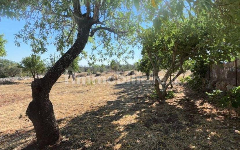 Villa unifamiliare Contrada Picoco Grotta, Santa Caterina, Ramunno, Chianchizzo, Ostuni — foto 74 di 93