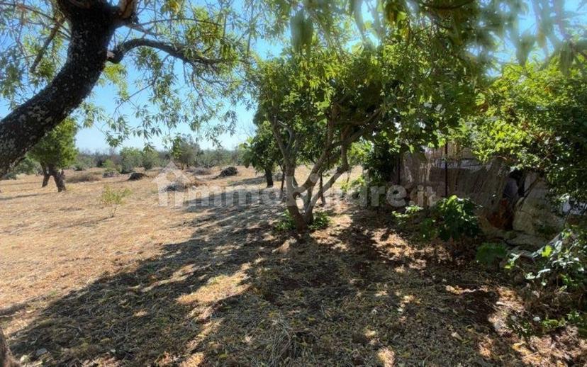 Villa unifamiliare Contrada Picoco Grotta, Santa Caterina, Ramunno, Chianchizzo, Ostuni — foto 7 di 93