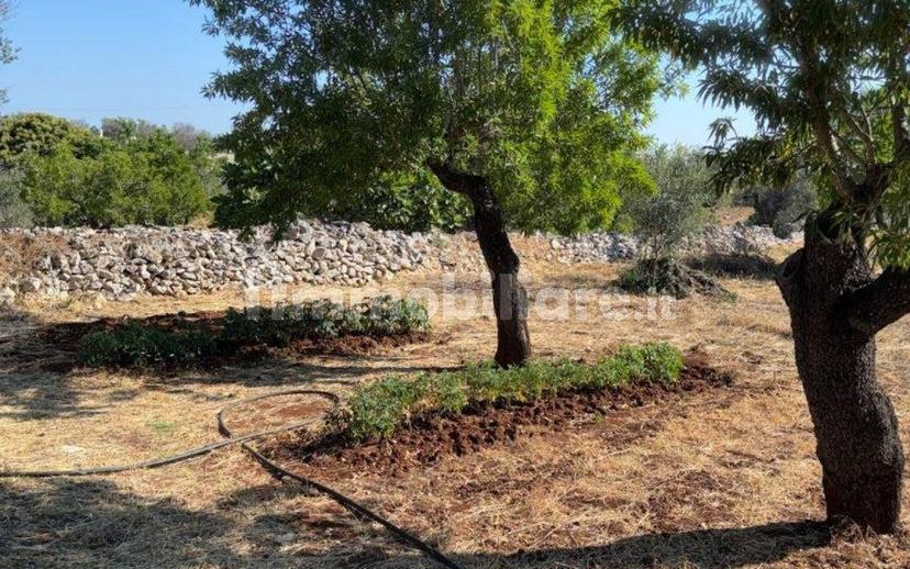 Villa unifamiliare Contrada Picoco Grotta, Santa Caterina, Ramunno, Chianchizzo, Ostuni — foto 41 di 93