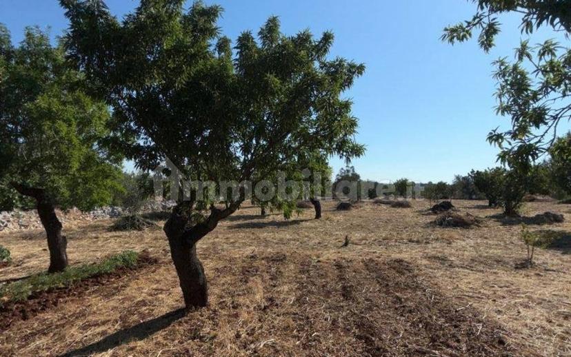 Villa unifamiliare Contrada Picoco Grotta, Santa Caterina, Ramunno, Chianchizzo, Ostuni — foto 75 di 93
