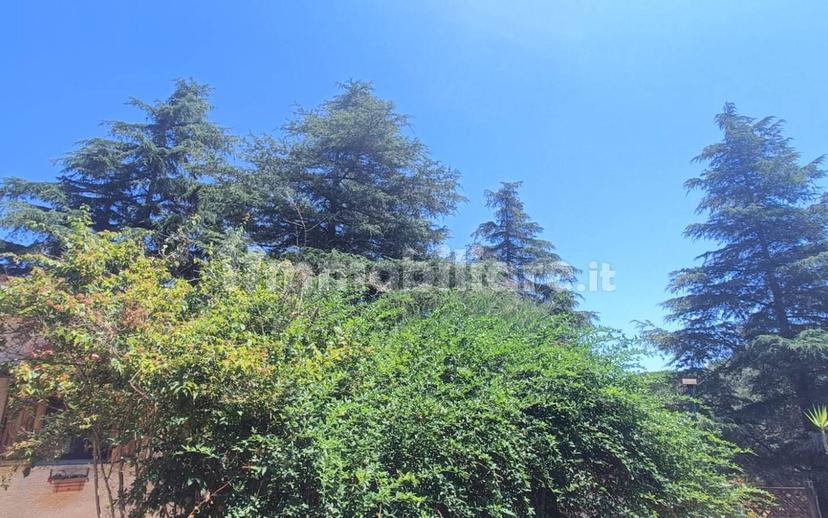 Villa unifamiliare Strada Lamia Vecchia zona F 51, Martina Franca — foto 20 di 35