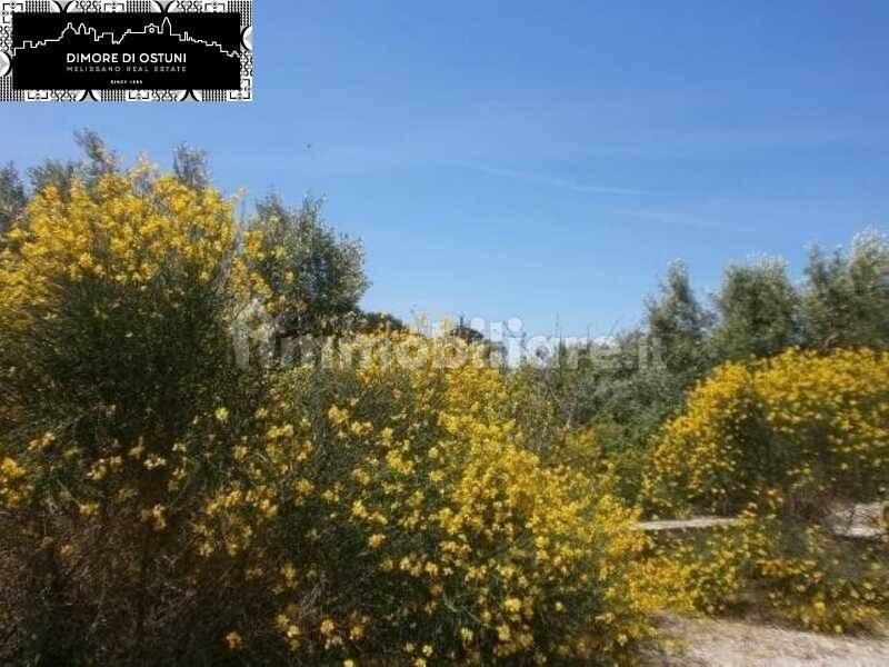 Villa unifamiliare, ottimo stato, 78 m², Via Ludovico, Corso Umberto I, Vittorio Emanuele, Ostuni — foto 4 di 16