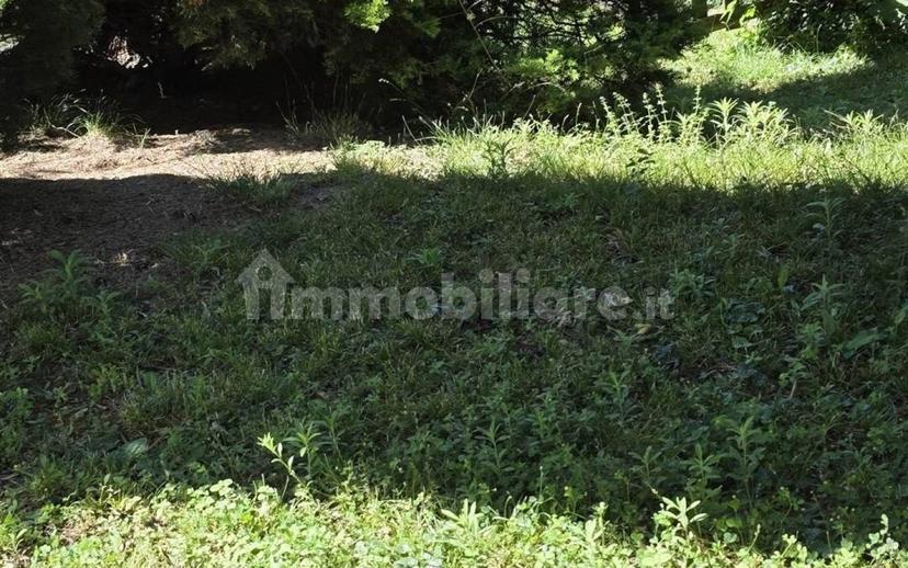Villa bifamiliare, ottimo stato, 180 m², Arbizzano-santa Maria, Negrar di Valpolicella — foto 8 di 59