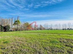 Rustico, da ristrutturare, 200 m², Albaria Villimpenta, Gazzo Veronese