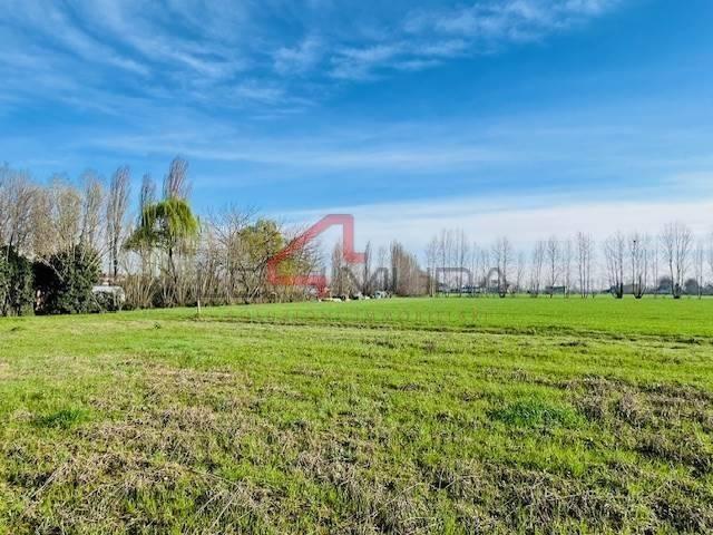 Rustico, da ristrutturare, 200 m², Albaria Villimpenta, Gazzo Veronese
