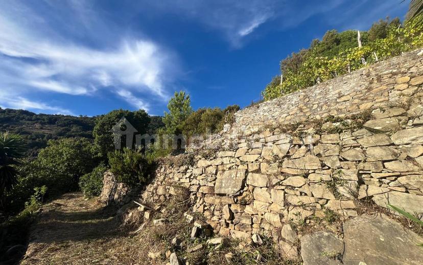 Rustico via Tramonti sic, Biassa, La Spezia — foto 8 di 11