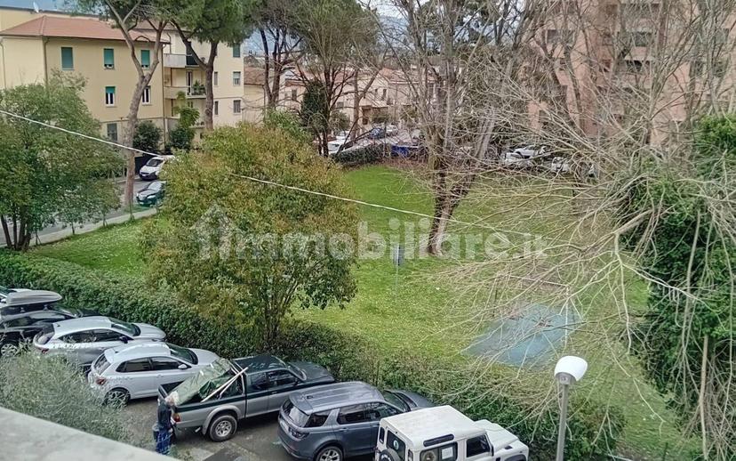Stanza singola via Montello 4, Pisa — foto 12 di 13