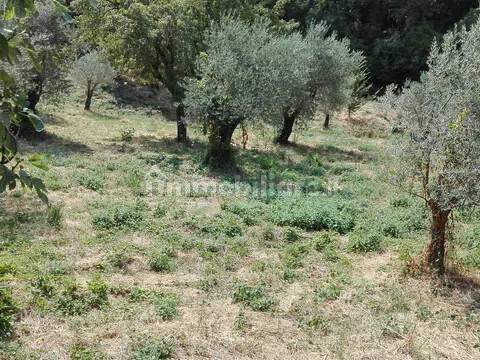 Rustico, da ristrutturare, 40 m², Morolo — foto 3 di 4