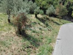 Rustico, da ristrutturare, 40 m², Morolo