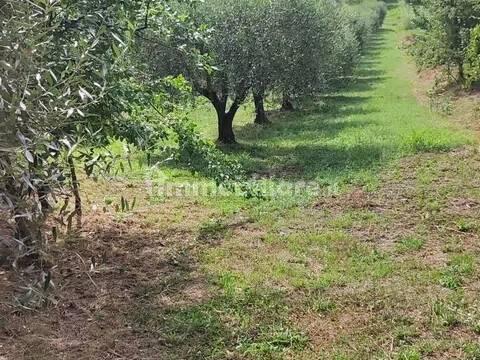 Cascina, da ristrutturare, 60 m², Ferentino — foto 7 di 7