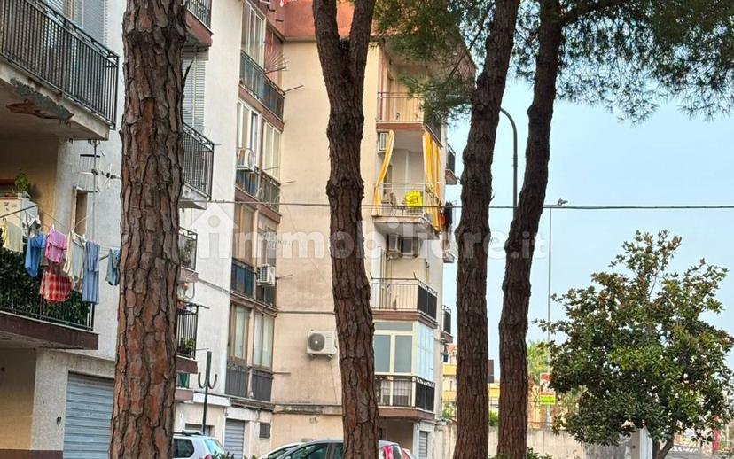 Monolocale via Fiume Lao 411, Centro, Arenile, Scalea — foto 6 di 12