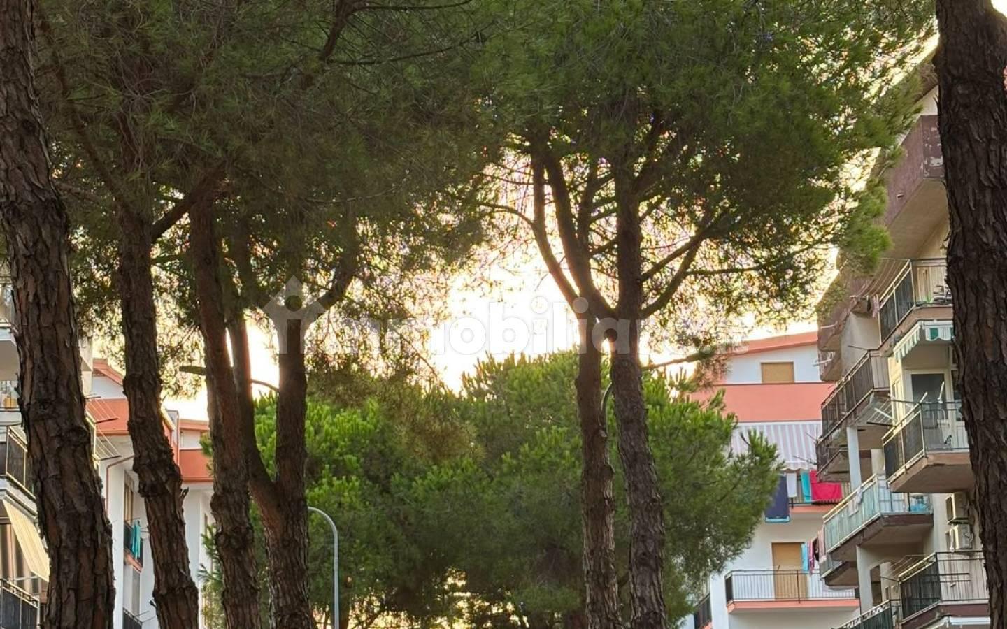 Monolocale via Fiume Lao 411, Centro, Arenile, Scalea