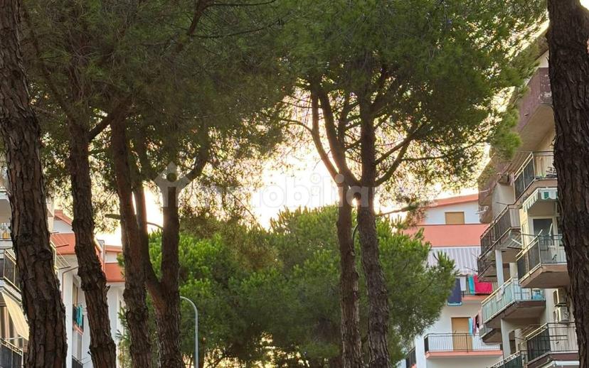 Monolocale via Fiume Lao 411, Centro, Arenile, Scalea