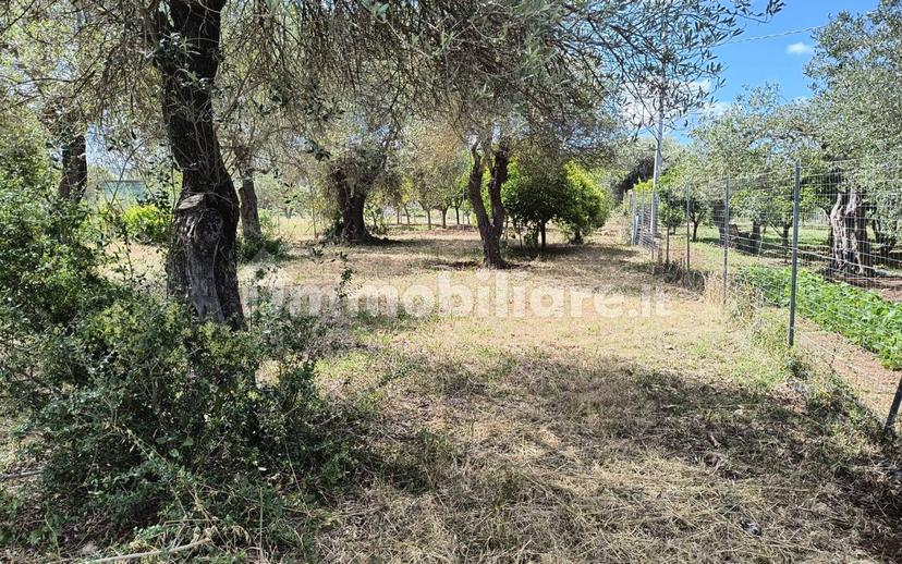 Terratetto unifamiliare Strada Vicinale Punta Moro, Maria Pia, Fertilia, Alghero — foto 3 di 19