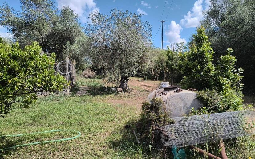 Terratetto unifamiliare Strada Vicinale Punta Moro, Maria Pia, Fertilia, Alghero — foto 15 di 19